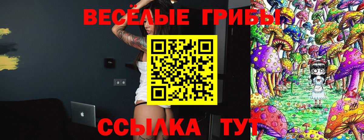 Галлюциногенные грибы ЛСД Йошкар-Ола
