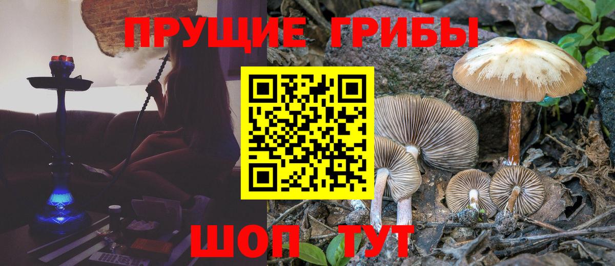 Йошкар-Ола  Галлюциногенные грибы GOLDEN TEACHER  Вход с VPN 